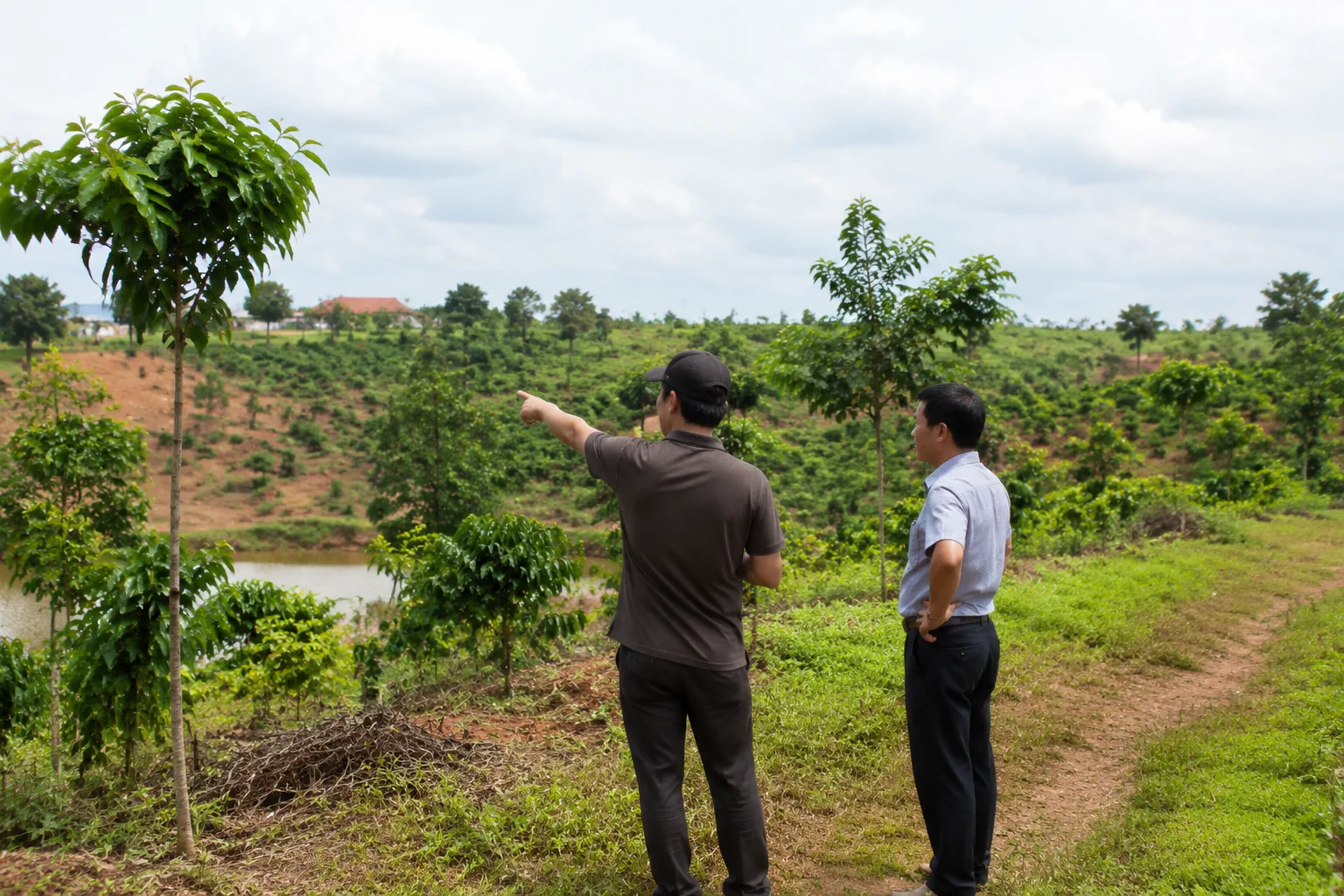 Chủ tài sản kiểm tra hiện trạng khu đất rẫy hoặc farm tại Đắk Nông để chuẩn bị thông tin trước khi trao đổi bán bất động sản