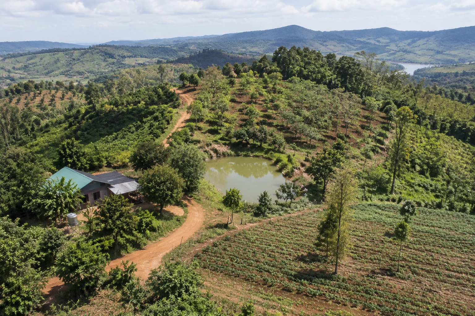 Toàn cảnh khu farm tại Đắk Nông được nhìn từ góc cao, thể hiện sự cân nhắc giữa địa hình, không gian sử dụng và điều kiện vận hành thực tế trước khi quyết định tìm hiểu tài sản
