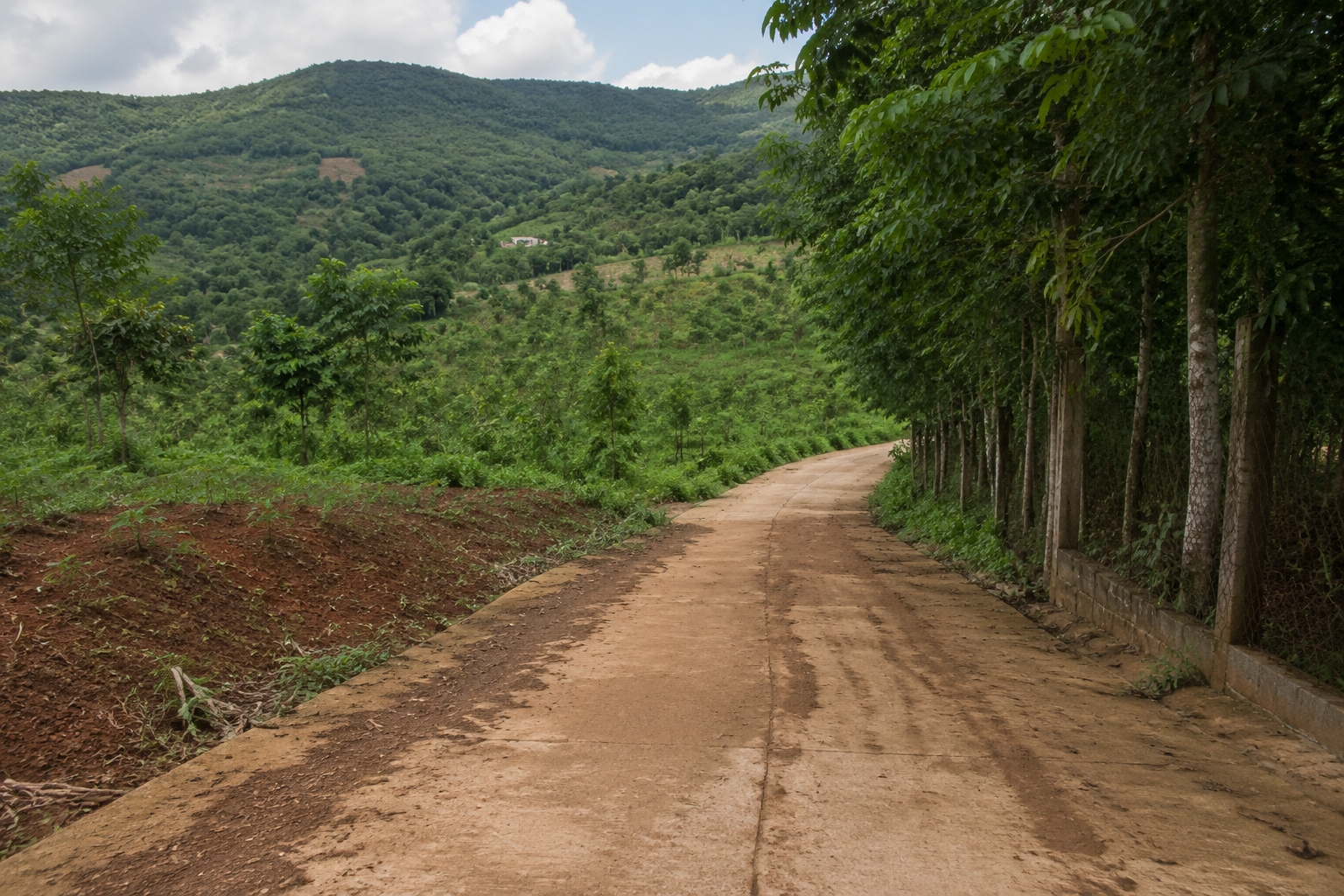 Toàn cảnh đường vào một khu đất ở Gia Nghĩa với con đường thực tế dẫn từ đường chính vào khu đất, thể hiện địa hình dốc nhẹ và bối cảnh Tây Nguyên Việt Nam.