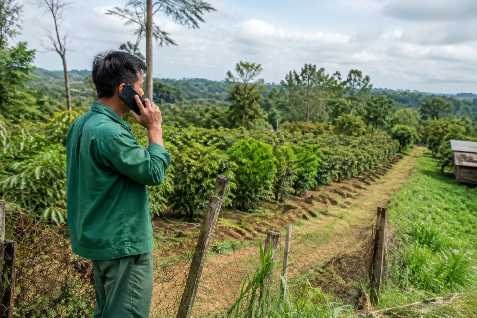 Chủ tài sản ở xa trao đổi với người hỗ trợ quản lý đất farm tại Đắk Nông qua cuộc gọi từ xa trong khi người hỗ trợ đứng tại khu đất kiểm tra hiện trạng, thể hiện nhu cầu phối hợp v