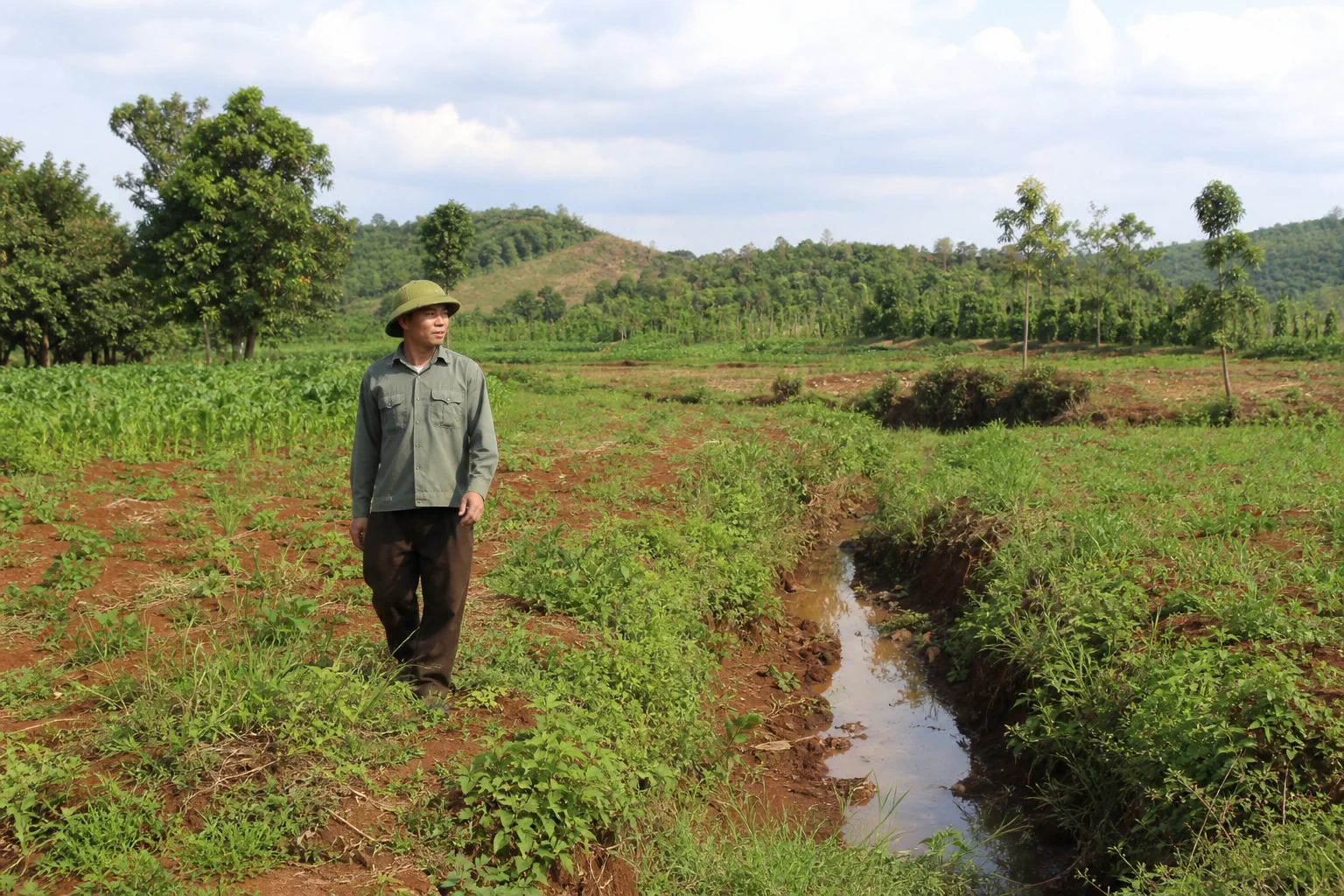 Người khảo sát quỹ đất nông nghiệp tại Đắk Nông quan sát sự phân chia khu vực sử dụng trong trang trại bằng cách đi dọc khu vực canh tác, thể hiện bước xác định nhu cầu sản xuất và