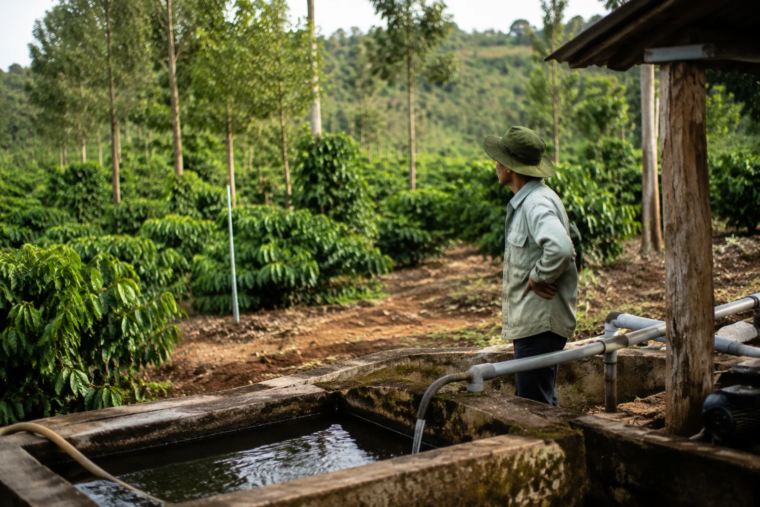 Người khảo sát đang kiểm tra khu vực vận hành nhỏ trong trang trại cà phê với nguồn nước và không gian chăm sóc cây trồng xung quanh, thể hiện bước đánh giá khả năng vận hành tài s
