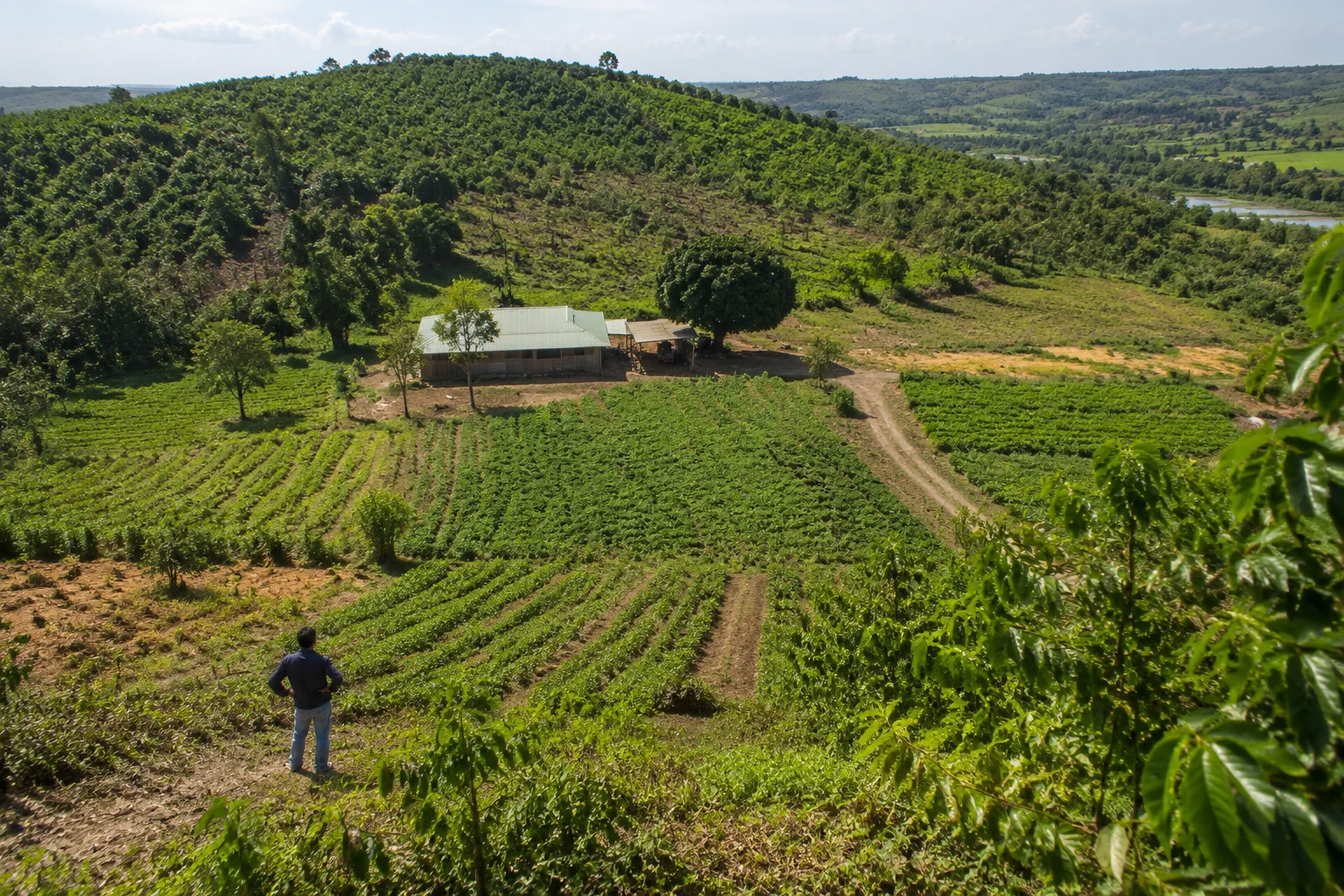 Toàn cảnh khu đất farm Đắk Nông được ghi nhận hiện trạng với các khu vực sử dụng khác nhau, thể hiện việc quan sát mối liên hệ giữa công trình và không gian canh tác xung quanh.
