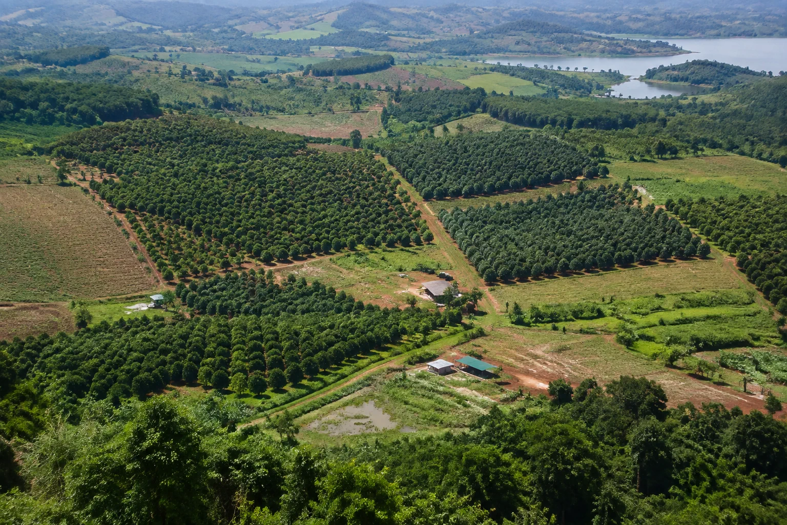 Toàn cảnh khu đất farm Đắk Nông với nhiều khu vực cần theo dõi và quản lý từ xa, thể hiện nhu cầu phân chia phạm vi kiểm tra và báo cáo