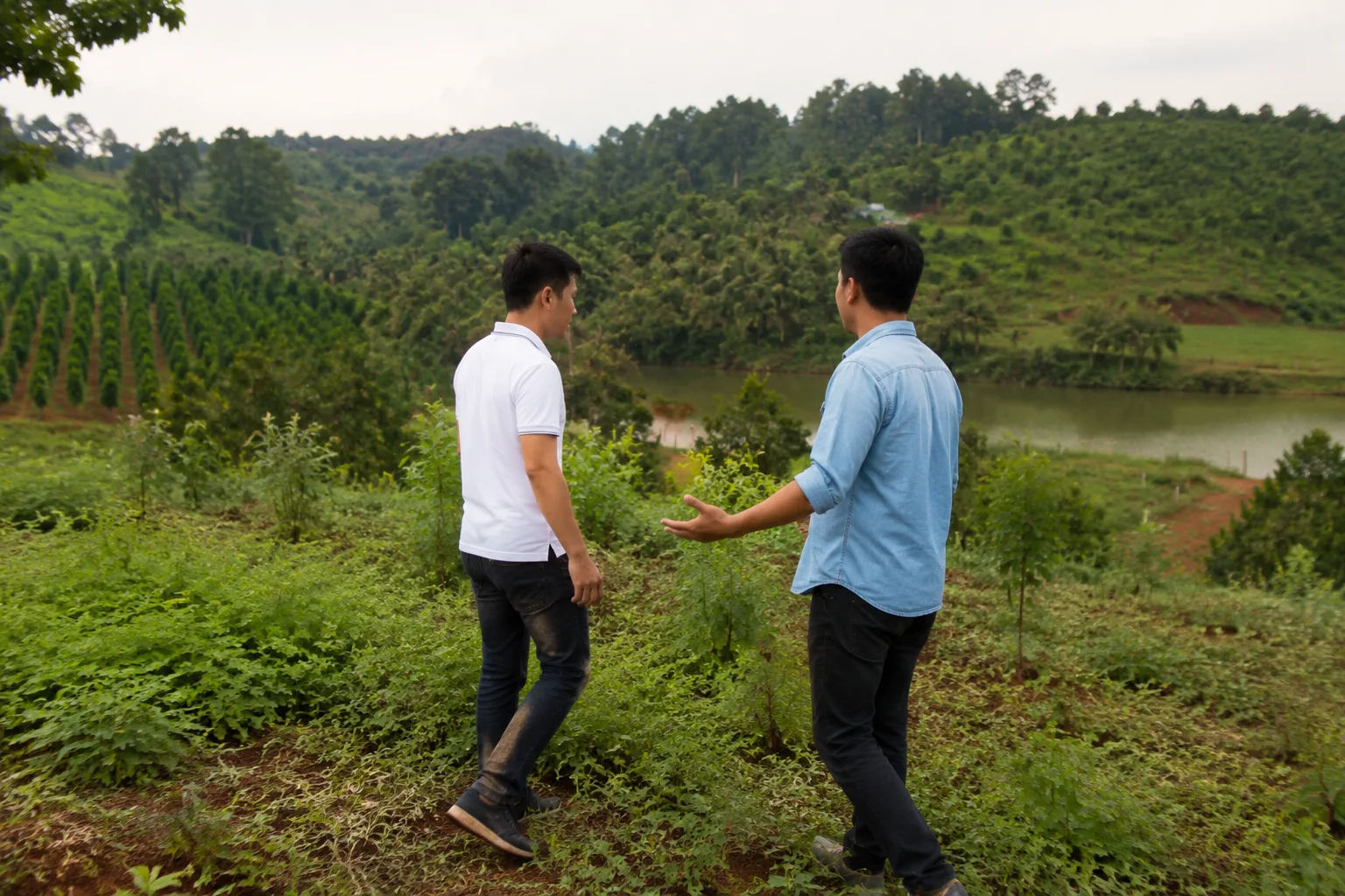 Người mua bất động sản Việt Nam đang khảo sát thực tế khu đất và đánh giá vị trí xung quanh một cách thận trọng, thể hiện quá trình tìm hiểu trước khi quyết định.