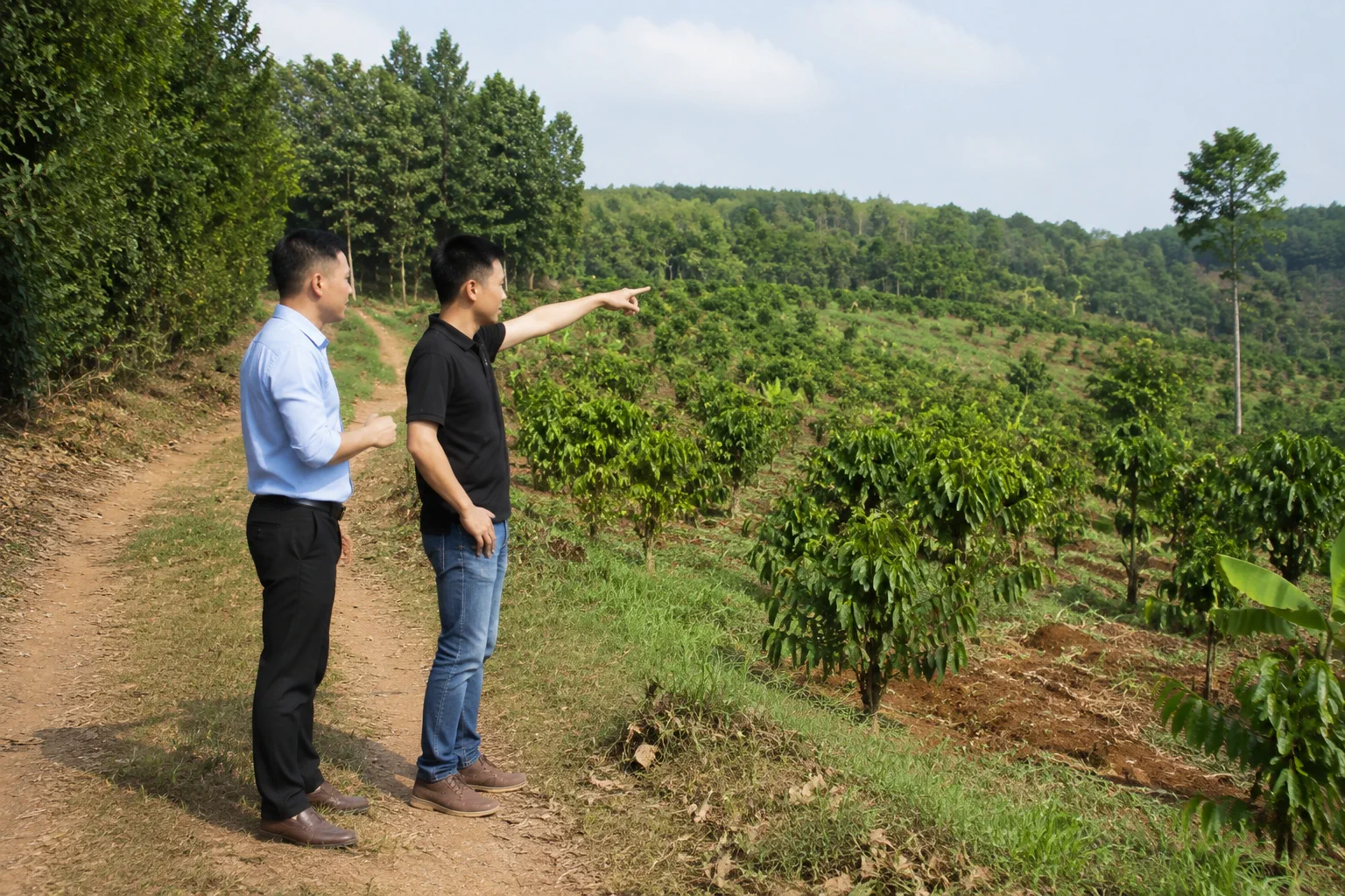 Người mua kiểm tra hiện trạng khu đất thực tế với sự hướng dẫn của chuyên viên, nhấn mạnh việc đối chiếu thông tin trước khi quyết định