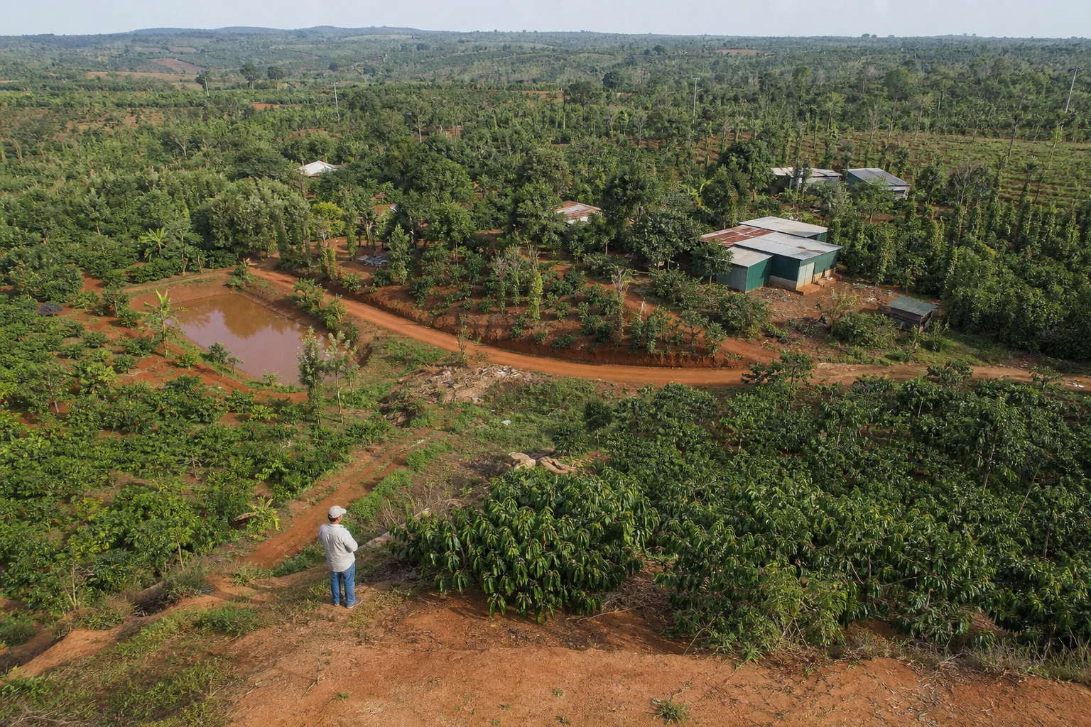 Góc nhìn toàn cảnh một khu đất farm tại Đắk Nông với người khảo sát đang quan sát địa hình, tuyến đường nội bộ và khu vực canh tác để đánh giá điều kiện vận hành thực tế