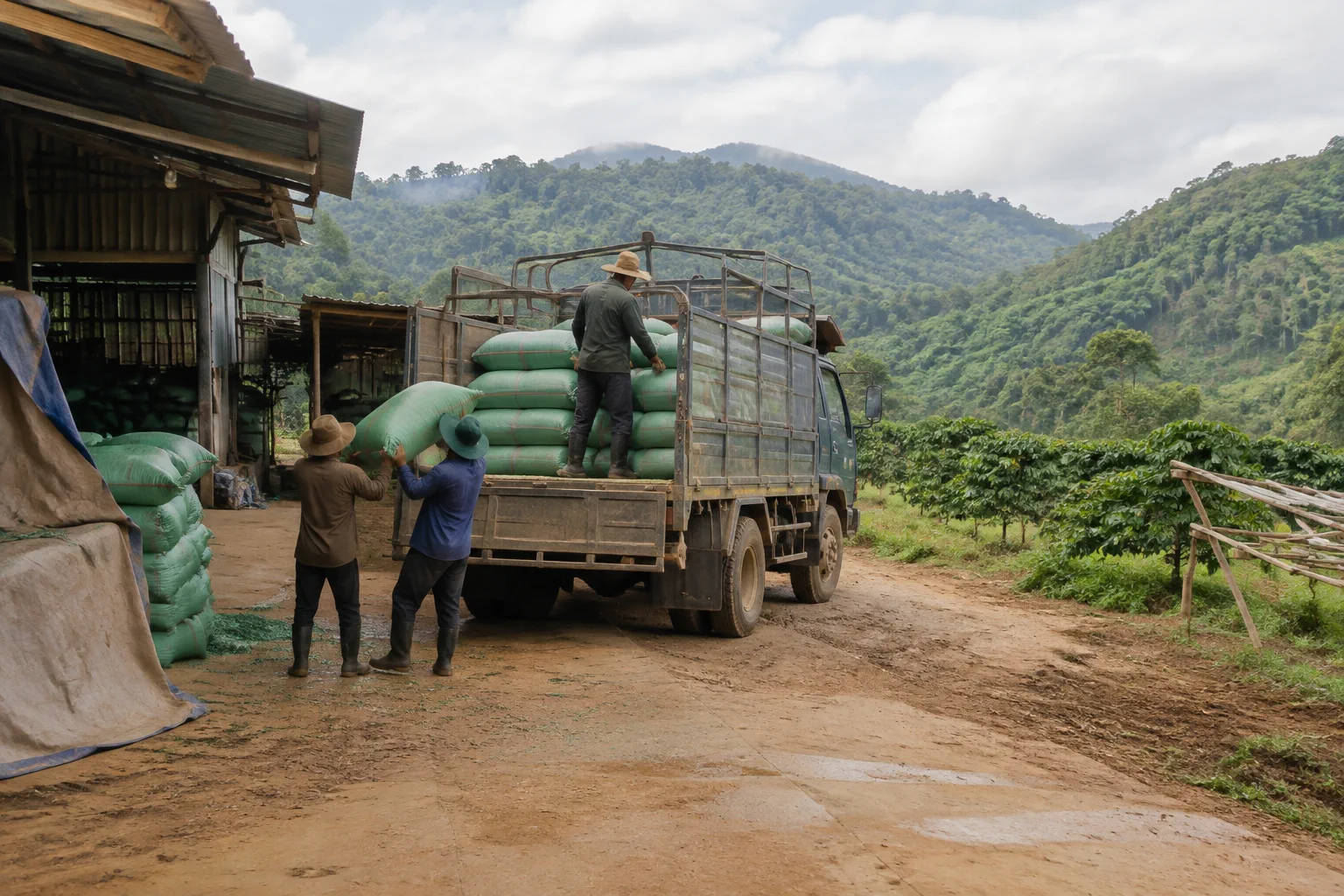 Khung cảnh vận chuyển vật tư nông nghiệp vào khu đất farm tại Đắk Nông với phương tiện phù hợp địa hình và không gian bốc dỡ thực tế