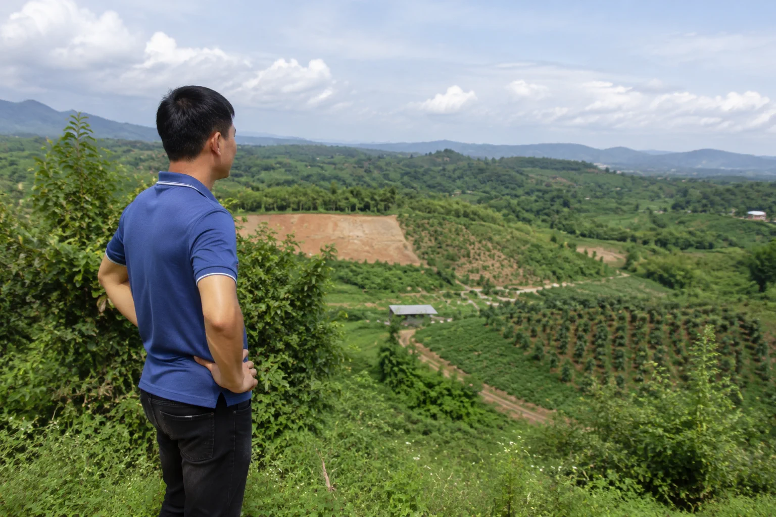 Người mua bất động sản Đắk Nông quan sát khu đất từ một điểm cao tự nhiên để hình dung sự khác biệt giữa hiện trạng thực tế và thông tin cần kiểm tra trước giao dịch.