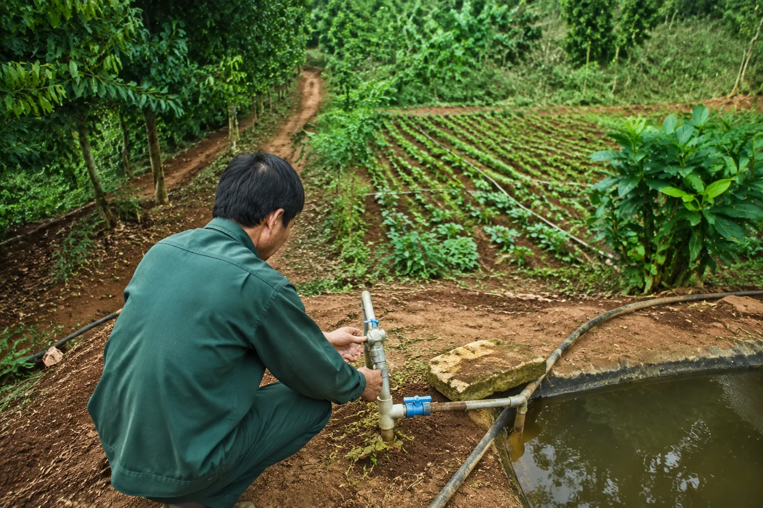 Người quản lý farm tại Đắk Nông kiểm tra hệ thống tưới và khu vực sản xuất trong vườn cây, thể hiện việc theo dõi chi phí vận hành và các công việc cần duy trì khi chủ đất ở xa.