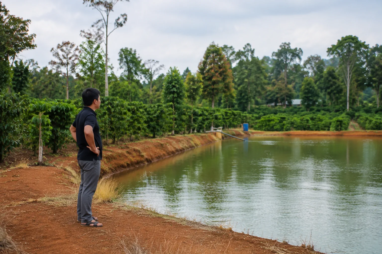 Người tìm hiểu tài sản nông nghiệp tại Đắk Nông quan sát khu vực chứa nước và điều kiện vận hành của một trang trại nhỏ, tập trung vào việc kiểm tra các yếu tố thực tế ngoài hiện t