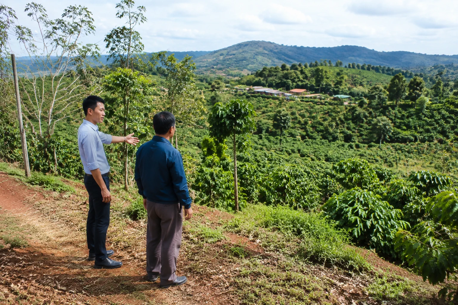 Chuyên gia khảo sát hiện trạng một khu bất động sản tại Đắk Nông để trao đổi thông tin quản lý tài sản với chủ sở hữu.