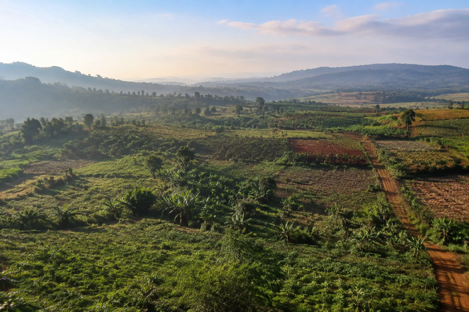 Toàn cảnh khu đất farm Trường Xuân nhìn từ góc cao tự nhiên, thể hiện sự phân bố diện tích lớn, địa hình và các khu vực cây trồng khác nhau để người xem hình dung bước khảo sát ban