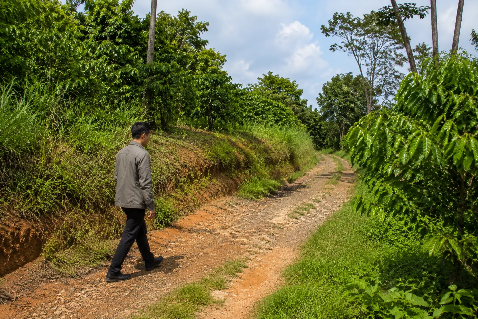 Người khảo sát thực địa đi dọc lối vào khu đất farm Đắk Nông để quan sát điều kiện đường đi, địa hình và khả năng tiếp cận bằng phương tiện trong quá trình đánh giá tài sản.